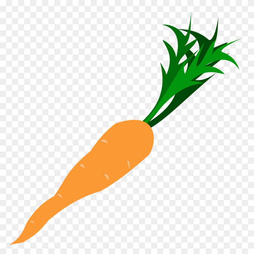 Detail Carrot Nose Clipart Nomer 37