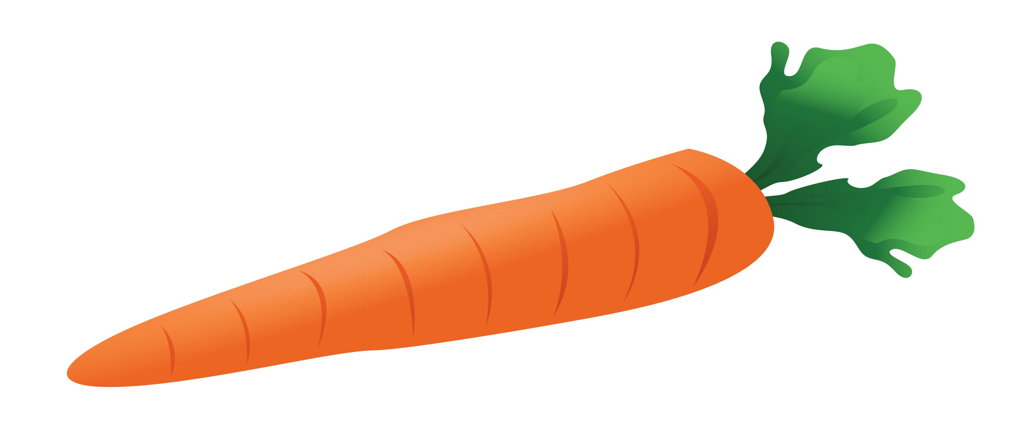 Detail Carrots Clipart Nomer 11