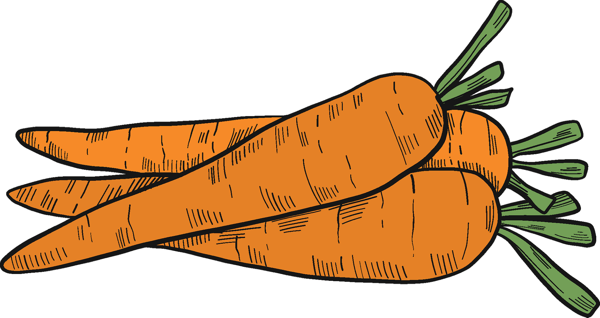 Detail Carrots Clipart Nomer 3