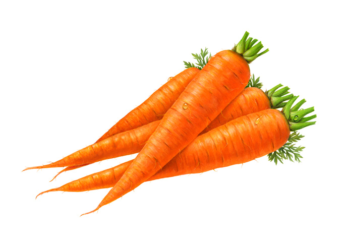 Detail Carrots Clipart Nomer 45