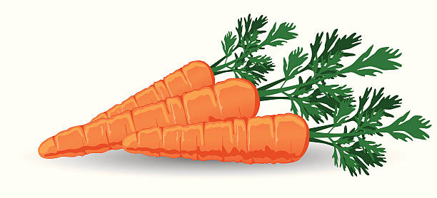 Detail Carrots Clipart Nomer 46