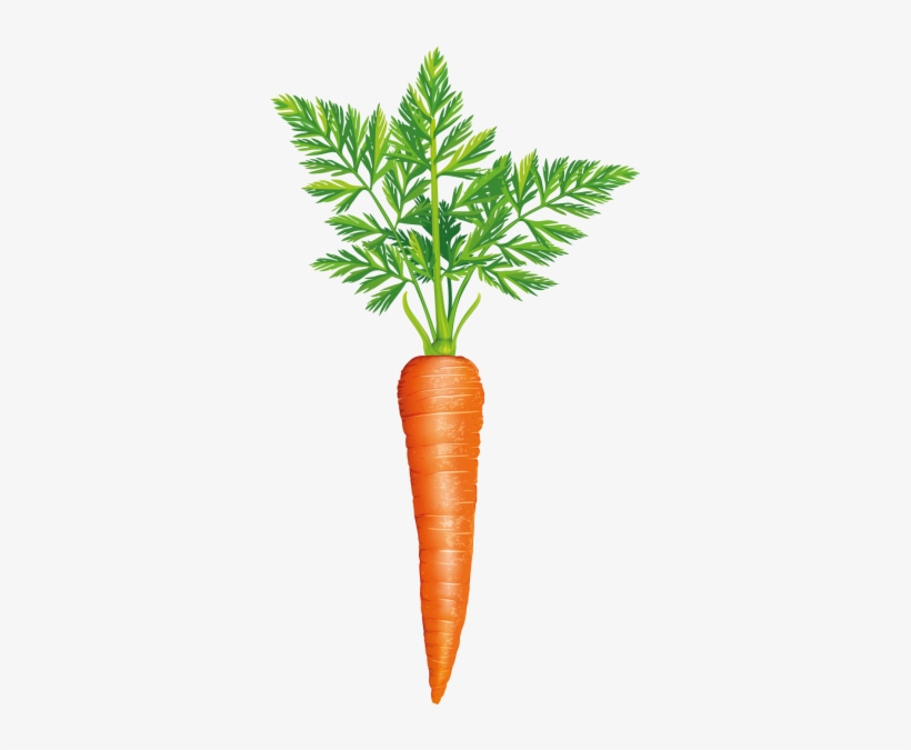 Detail Carrots Png Nomer 24