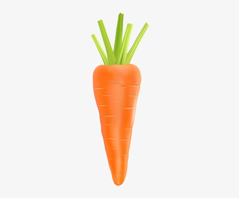 Detail Carrots Png Nomer 40