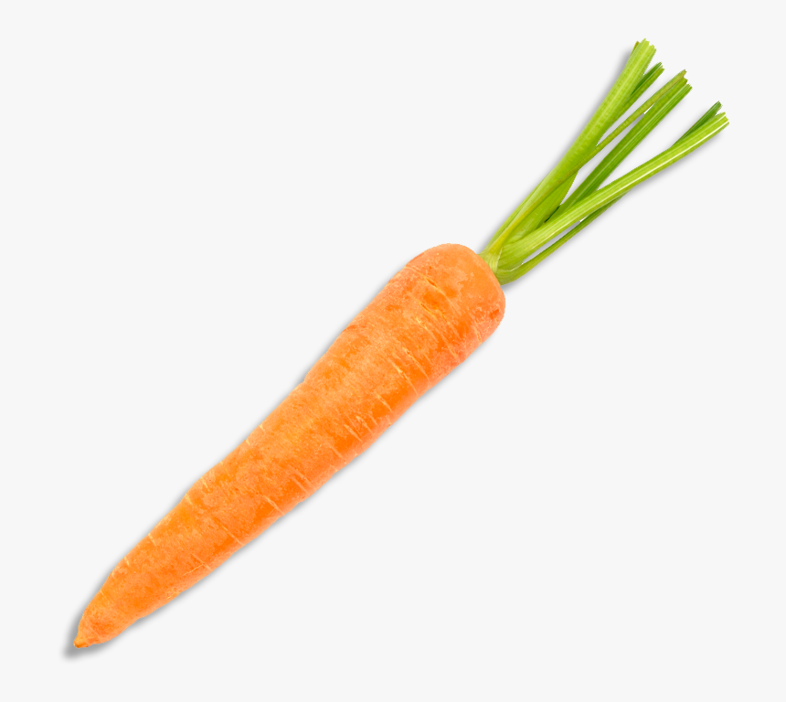 Detail Carrots Transparent Background Nomer 27