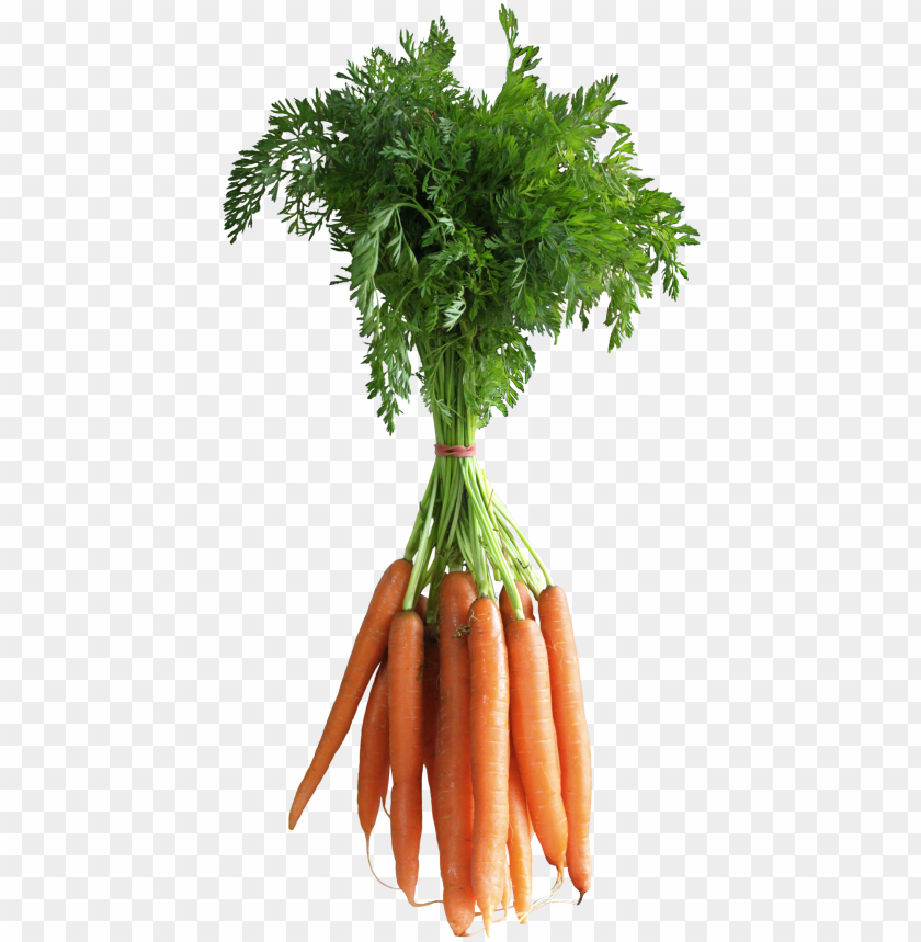 Detail Carrots Transparent Background Nomer 28