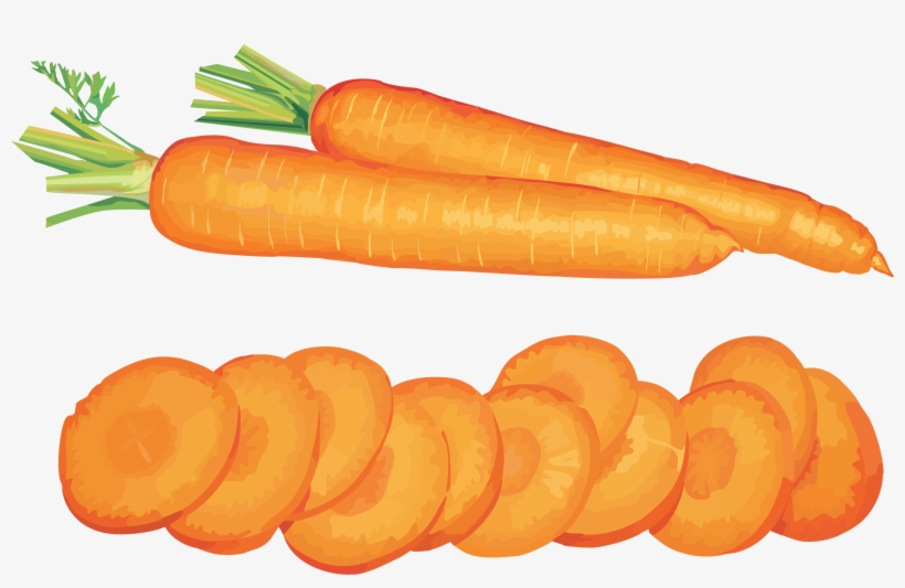 Detail Carrots Transparent Background Nomer 29