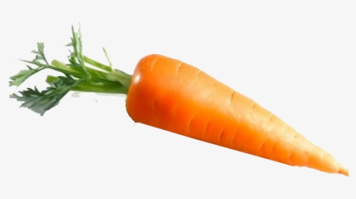 Detail Carrots Transparent Background Nomer 32