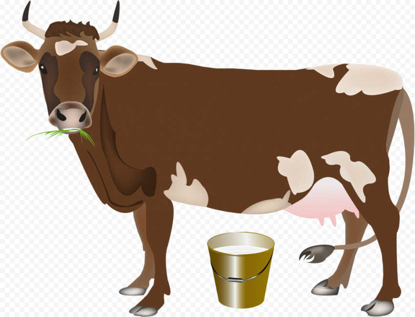 Detail Cartoon Cow Png Nomer 40