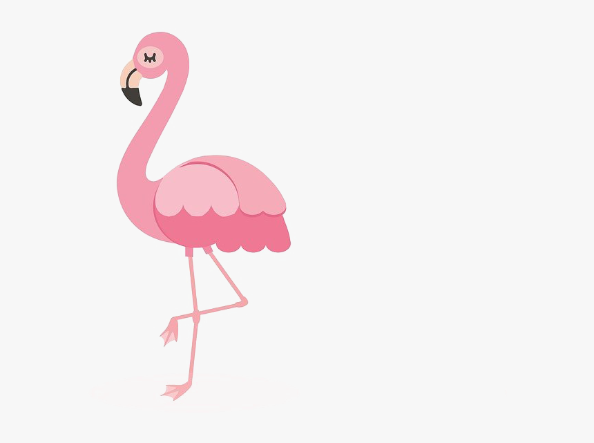 Cartoon Flamingo Png - KibrisPDR