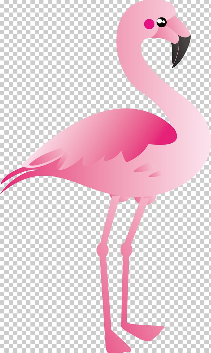 Detail Cartoon Flamingo Png Nomer 12