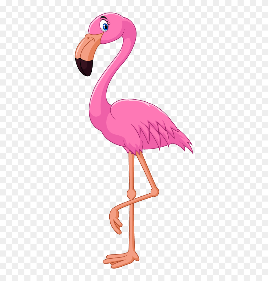 Detail Cartoon Flamingo Png Nomer 3