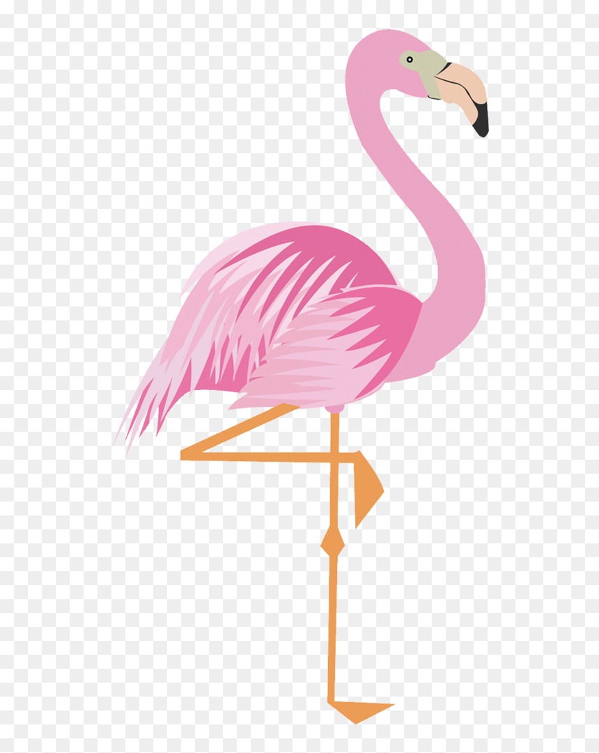 Detail Cartoon Flamingo Png Nomer 21