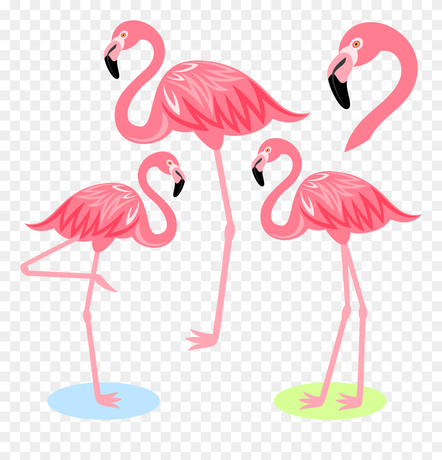 Detail Cartoon Flamingo Png Nomer 26