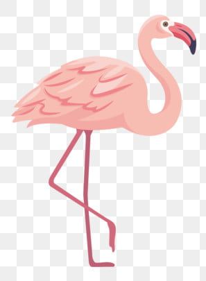 Detail Cartoon Flamingo Png Nomer 54