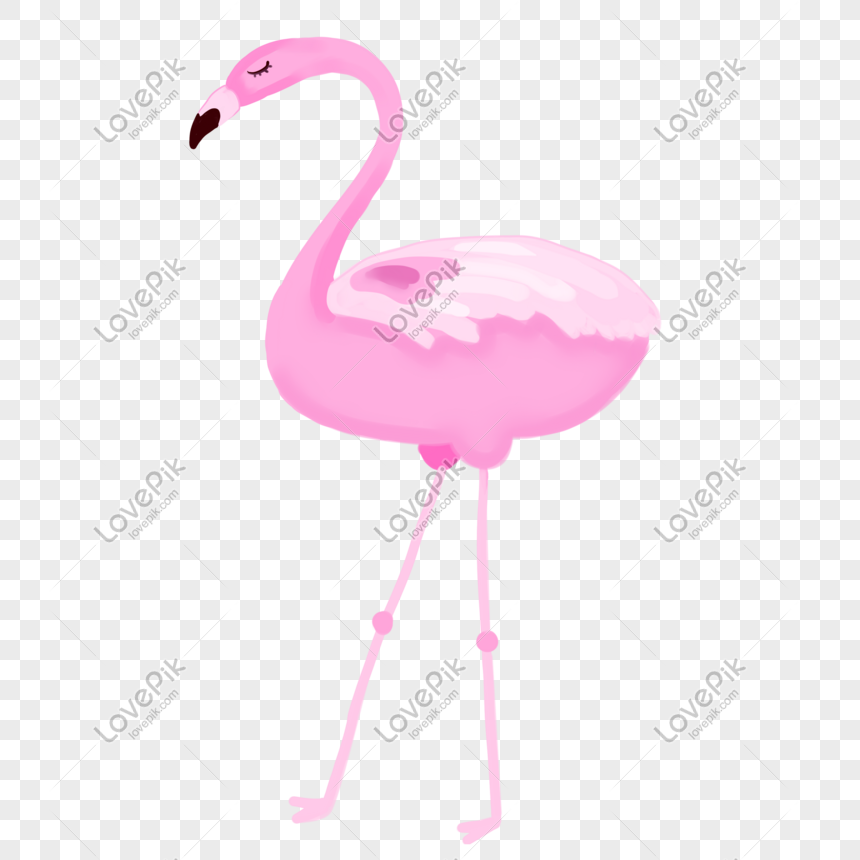 Detail Cartoon Flamingo Png Nomer 55