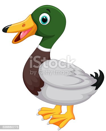 Detail Cartoon Images Of Ducks Nomer 11