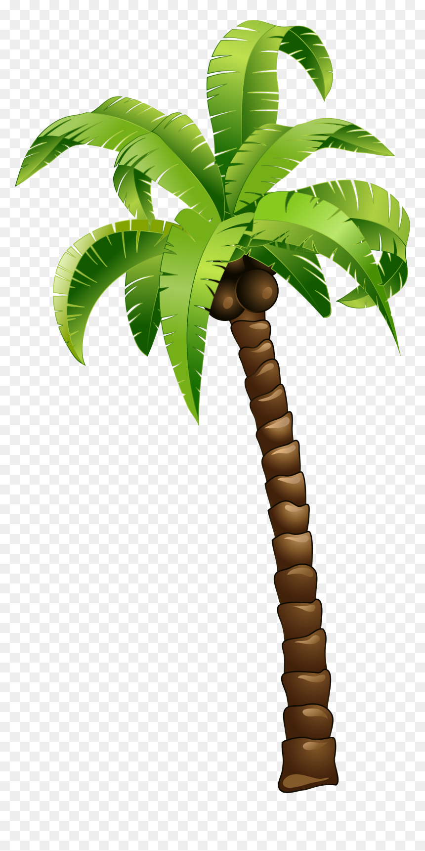 Detail Cartoon Palm Tree Png Nomer 11