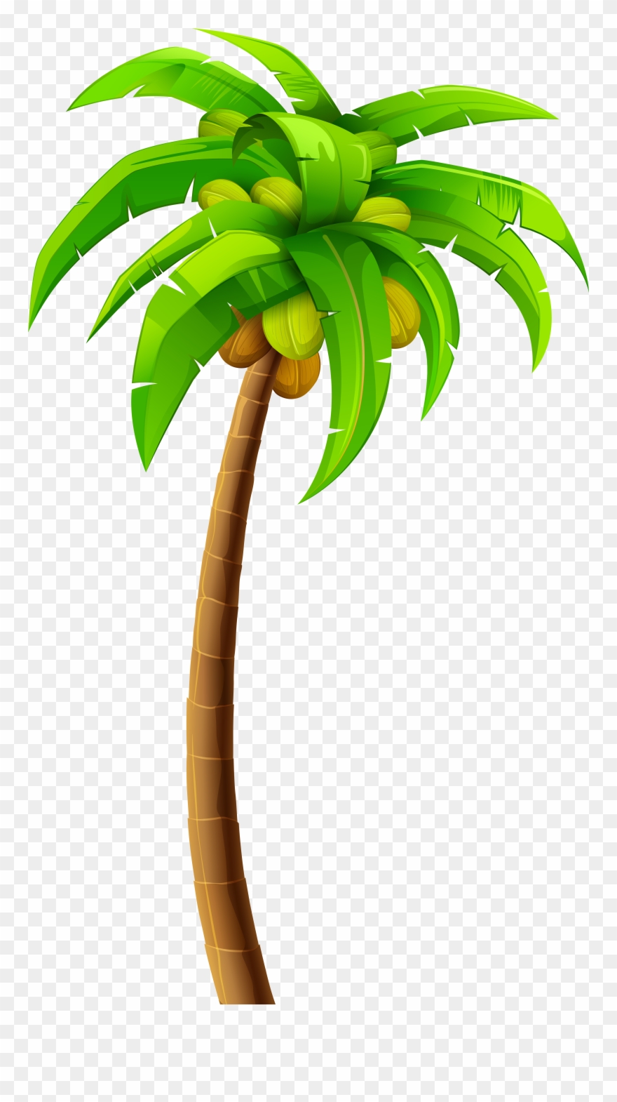 Detail Cartoon Palm Tree Png Nomer 12