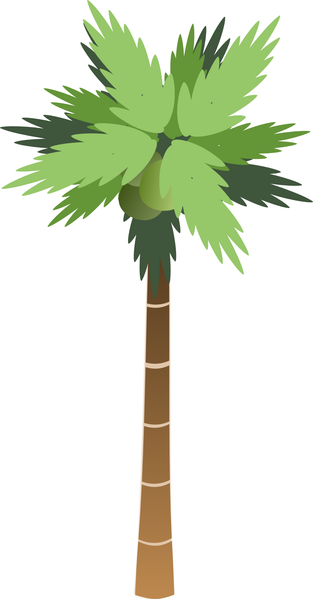 Detail Cartoon Palm Tree Png Nomer 20