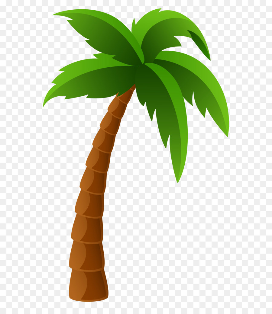 Detail Cartoon Palm Tree Png Nomer 5