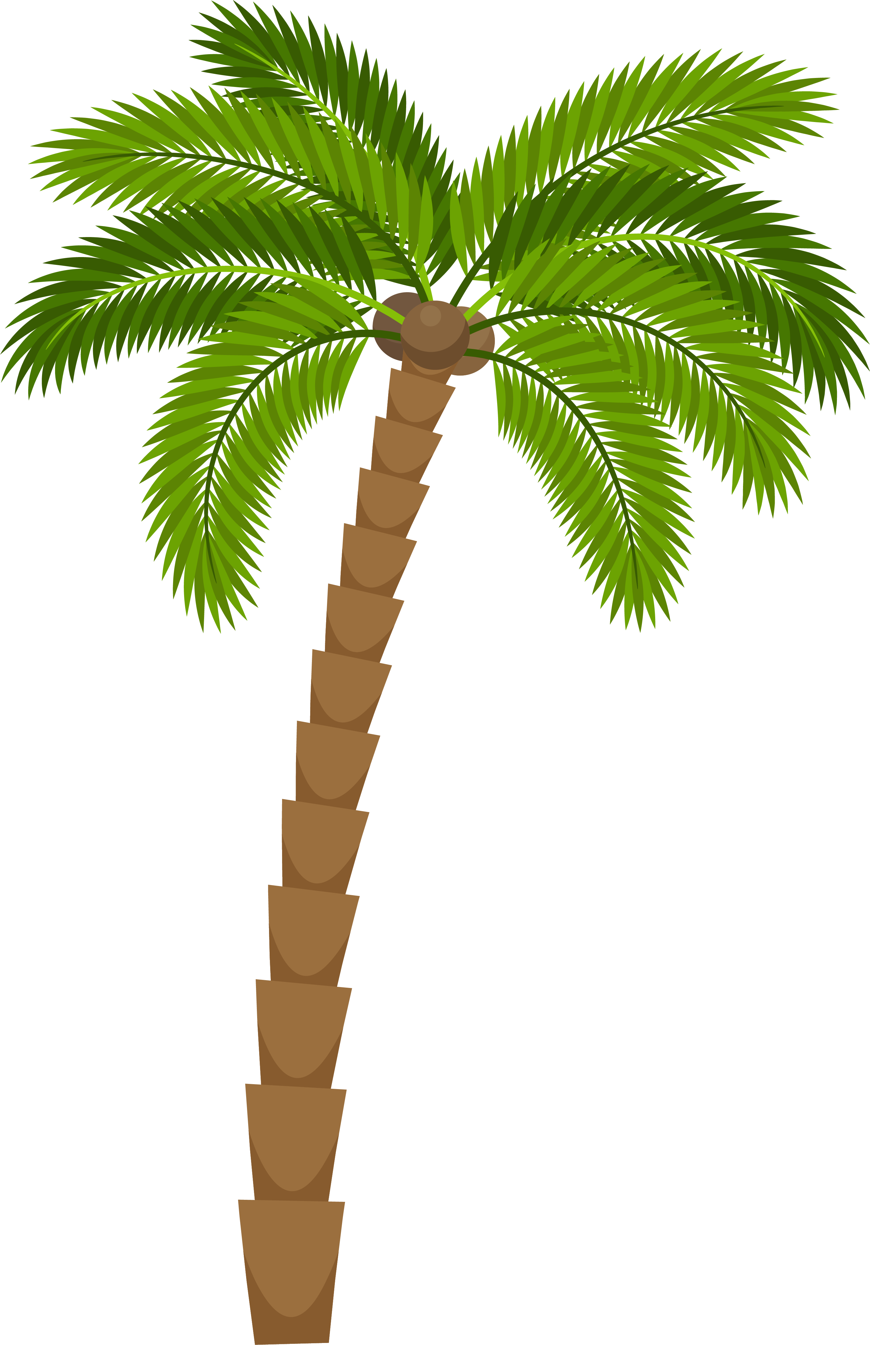 Detail Cartoon Palm Tree Png Nomer 6