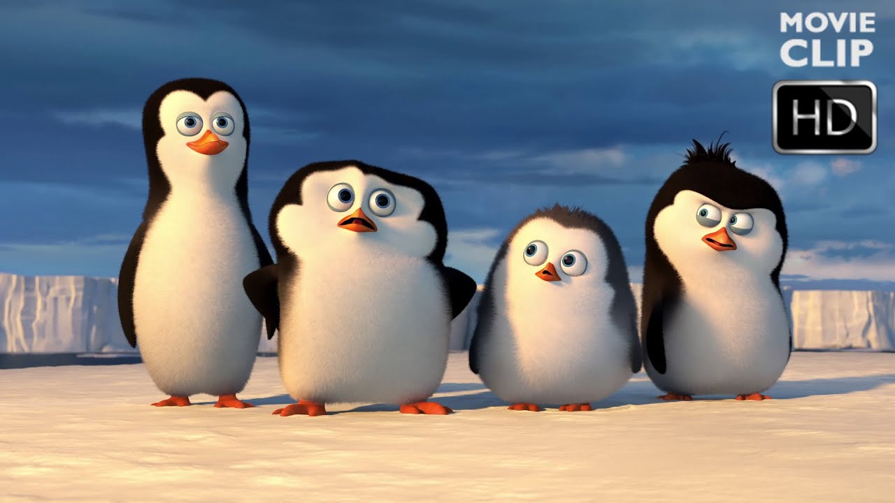 Detail Cartoon Penguins Pictures Nomer 54