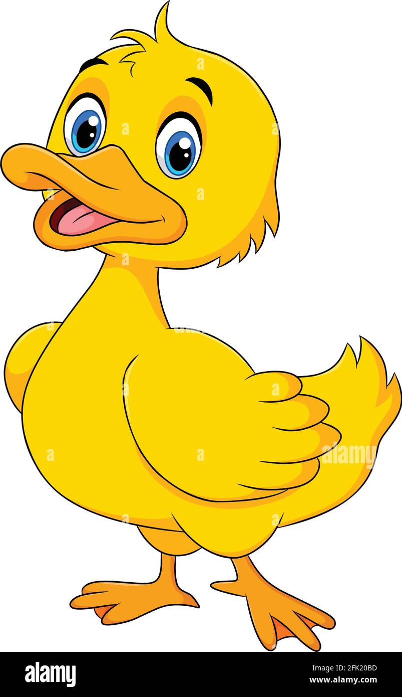 Cartoon Pic Of A Duck - KibrisPDR