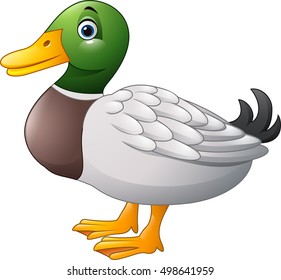 Detail Cartoon Pic Of A Duck Nomer 2