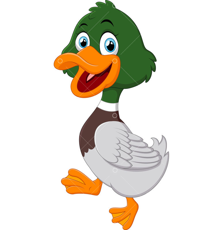 Detail Cartoon Pic Of A Duck Nomer 55