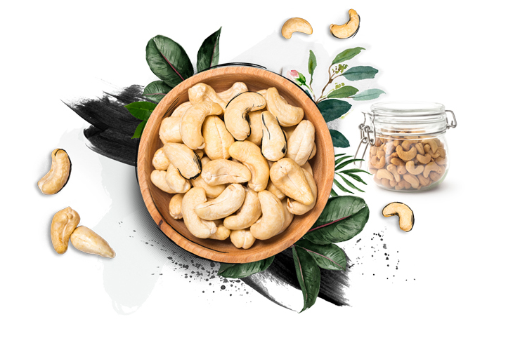 Detail Cashew Image Nomer 6
