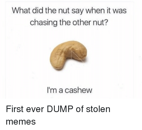 Detail Cashew Meme Nomer 25