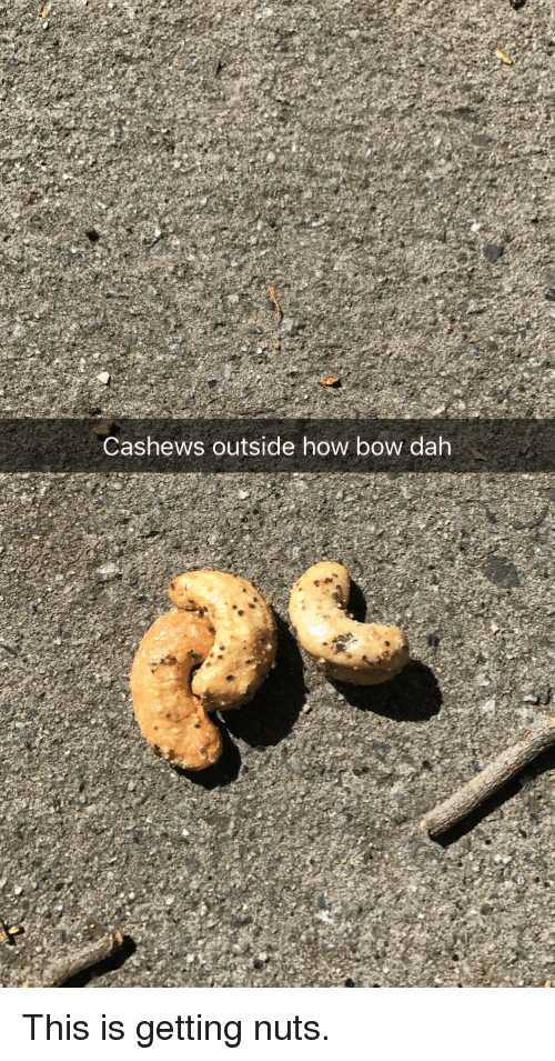 Detail Cashew Meme Nomer 26