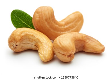 Detail Cashew Nut Images Nomer 14