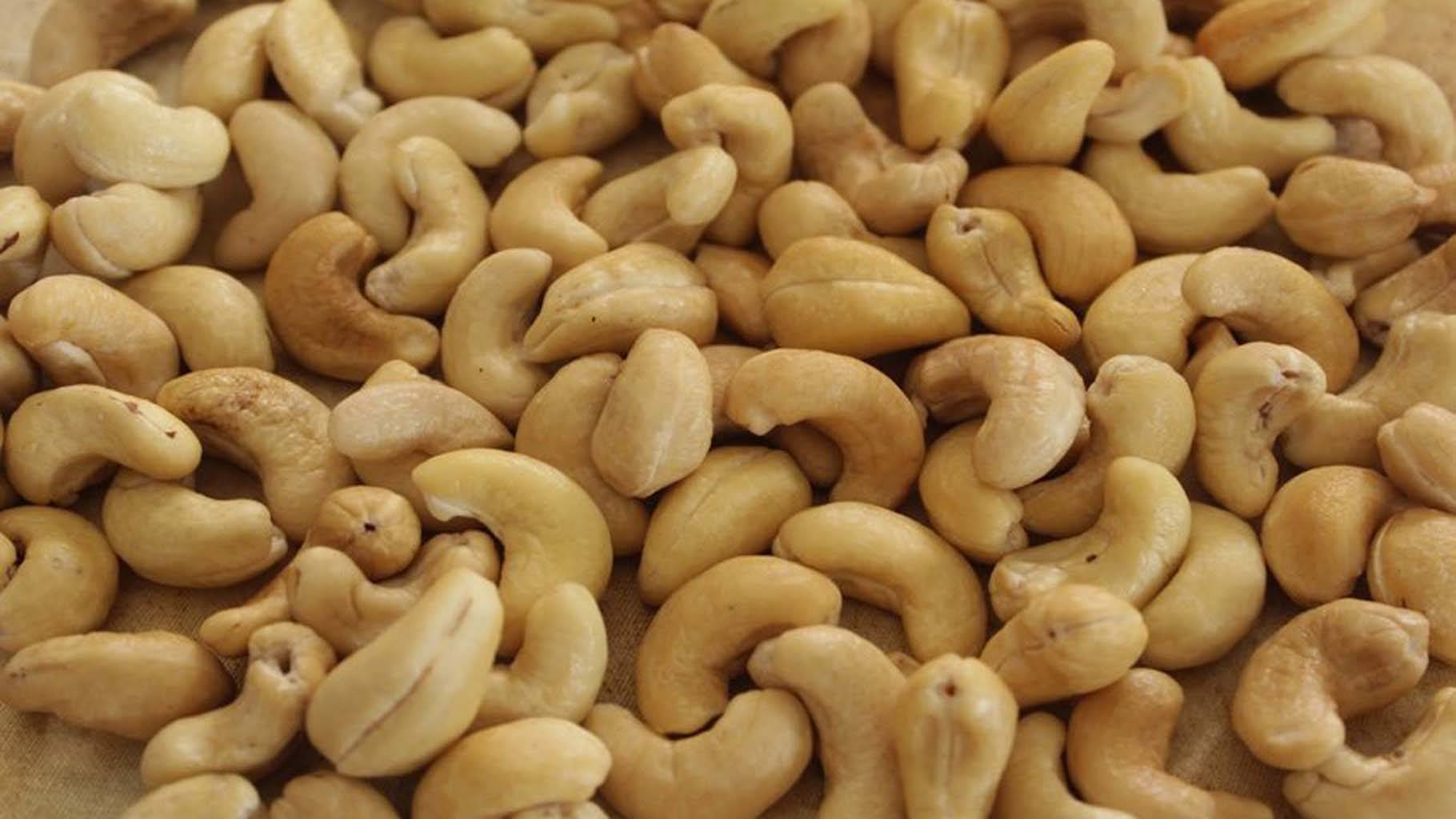 Detail Cashew Nut Images Nomer 45