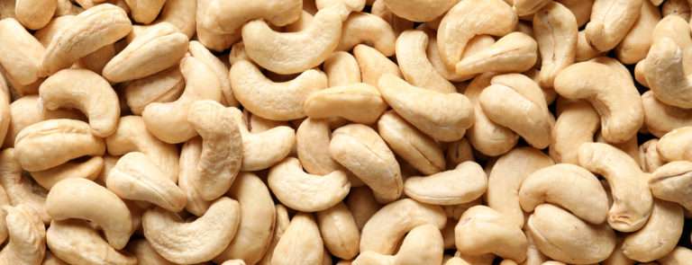 Detail Cashew Nut Images Nomer 6