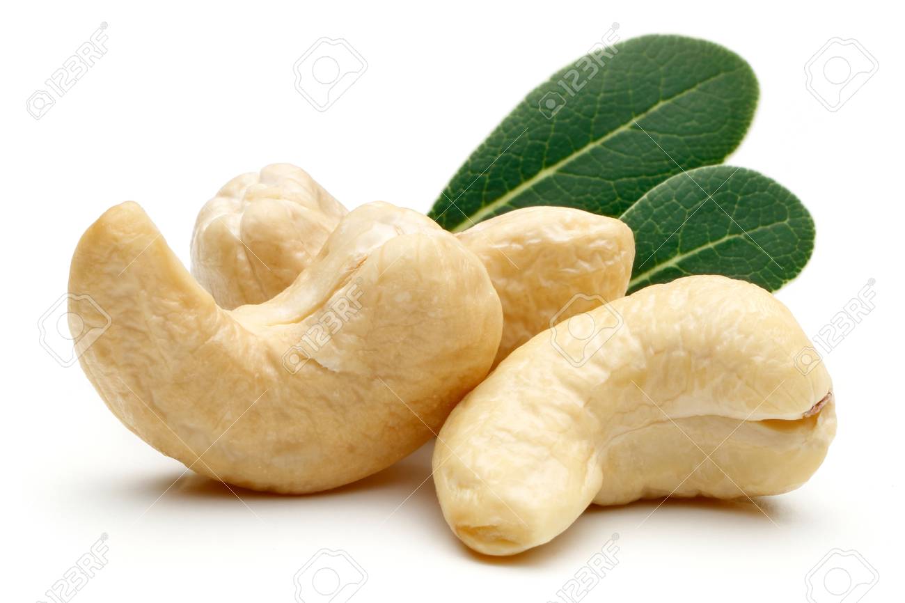 Detail Cashew Nut Picture Nomer 17
