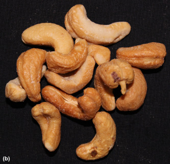 Detail Cashew Nuts Images Nomer 48