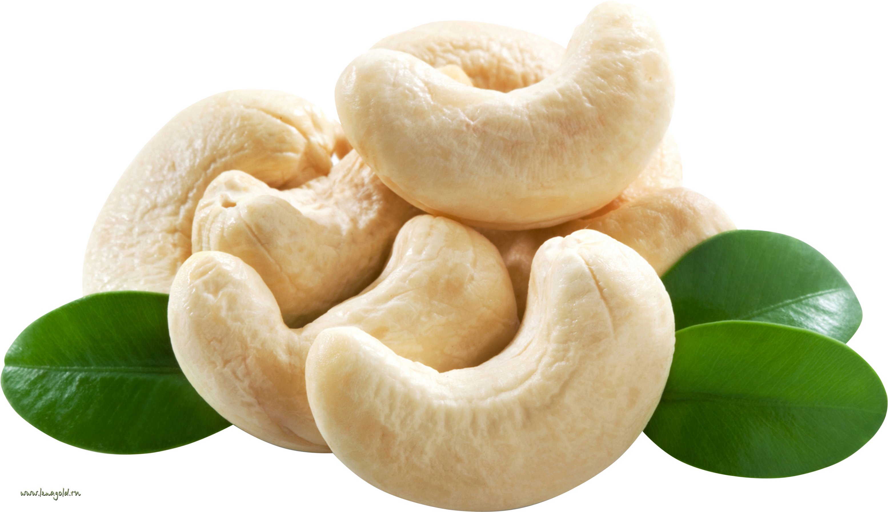 Detail Cashew Png Nomer 2