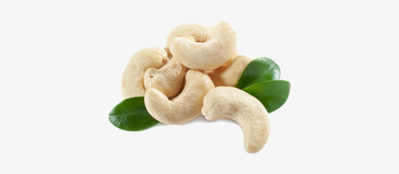 Detail Cashews Png Nomer 20