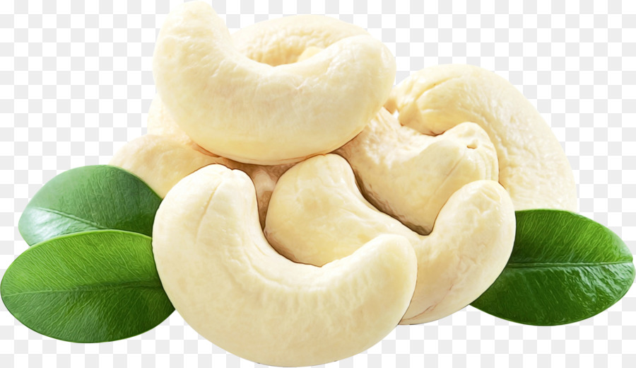 Detail Cashews Png Nomer 22