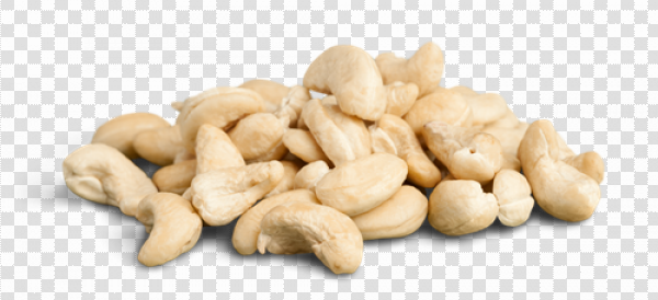 Detail Cashews Png Nomer 29