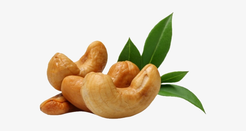 Detail Cashews Png Nomer 33