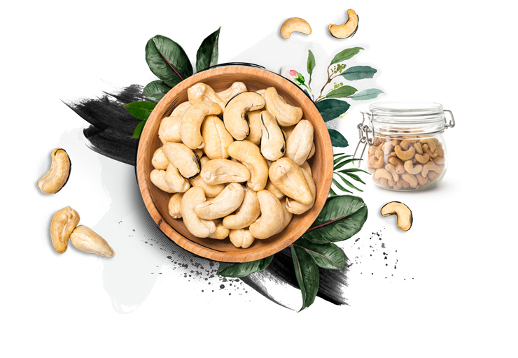 Detail Cashews Png Nomer 44