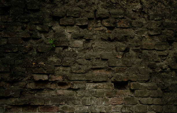 Detail Castle Texture Nomer 23
