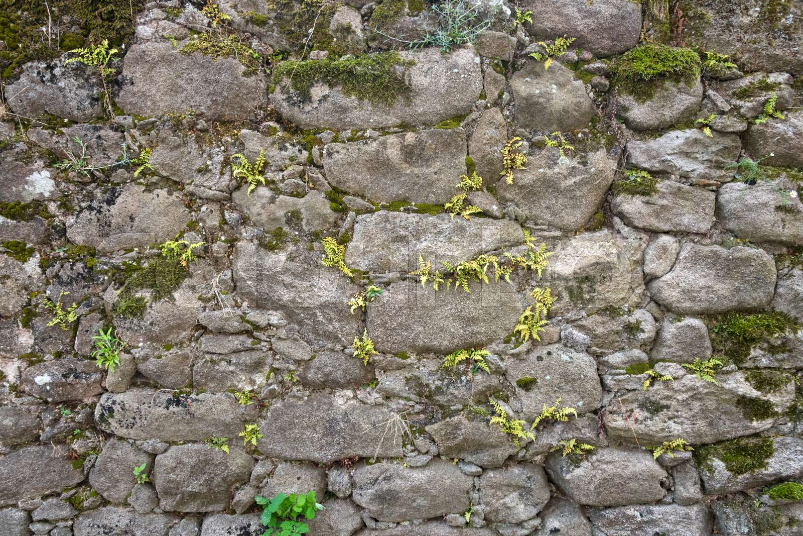 Detail Castle Texture Nomer 31