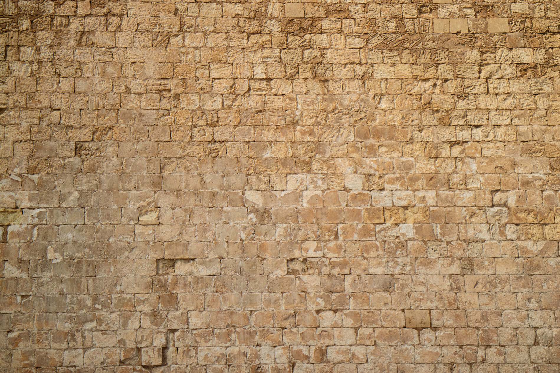 Detail Castle Texture Nomer 34