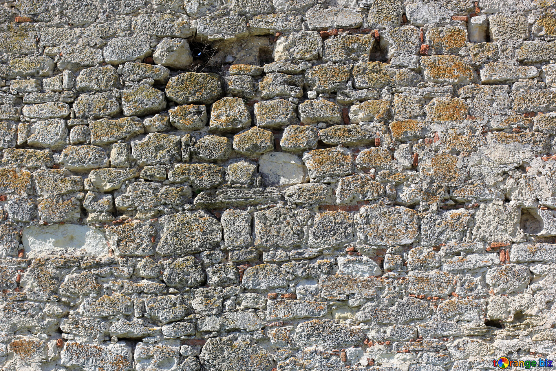 Detail Castle Texture Nomer 38