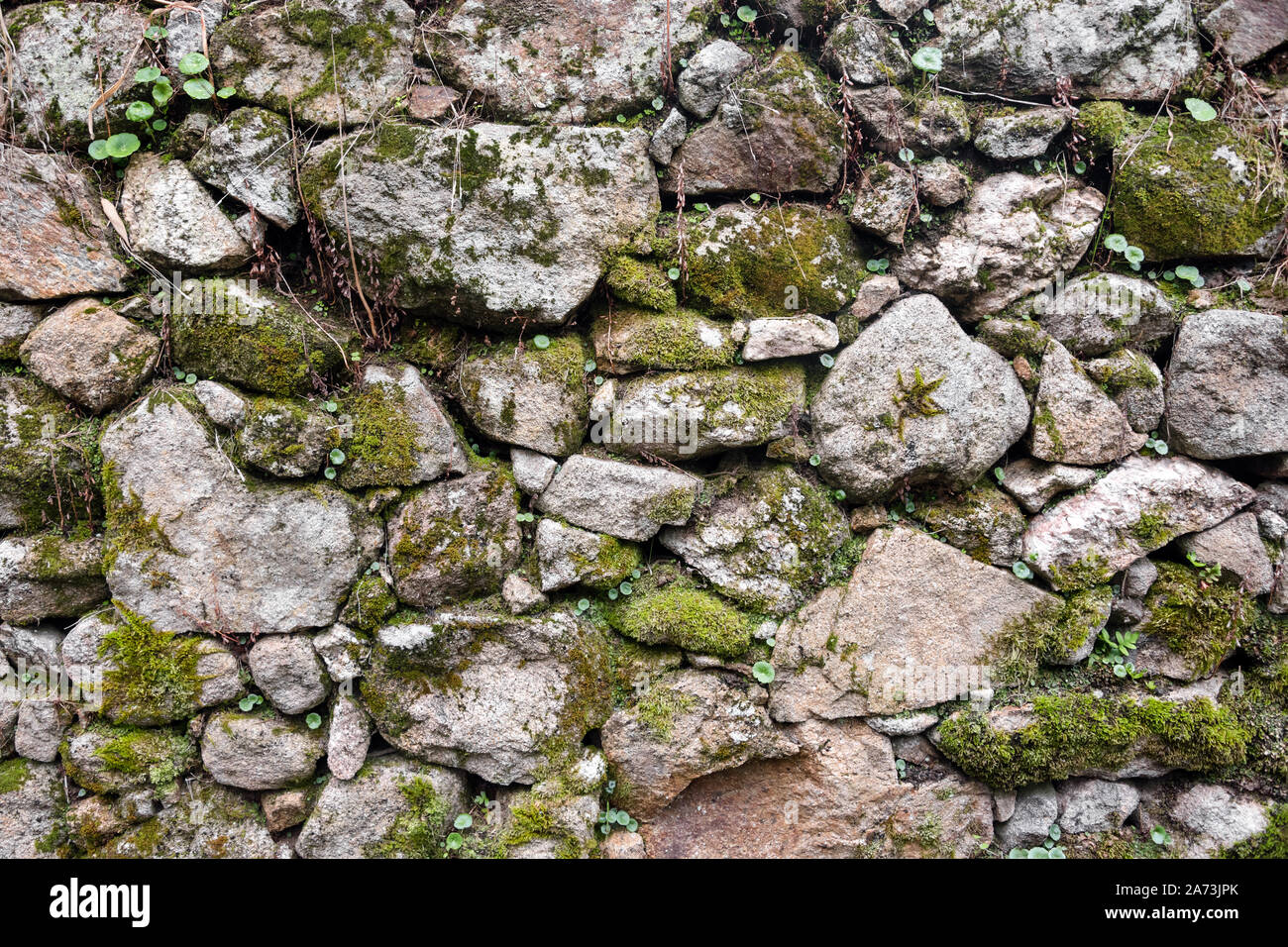 Detail Castle Texture Nomer 46