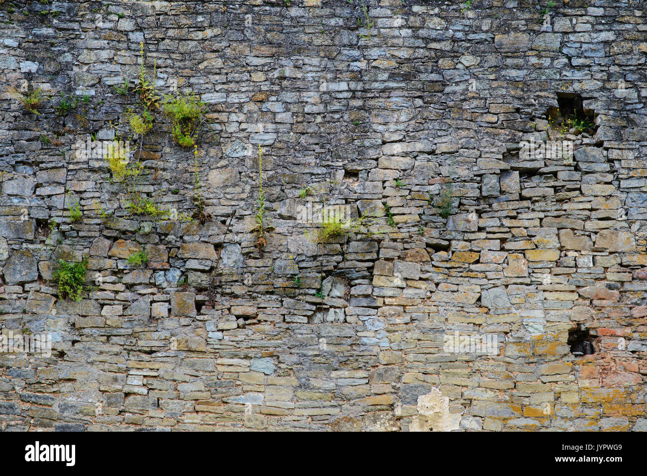 Detail Castle Texture Nomer 47