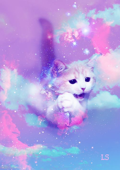 Detail Cat Backrounds Nomer 4